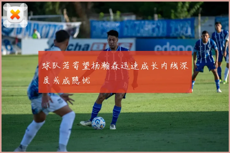 球队若寄望杨瀚森迅速成长内线深度或成隐忧