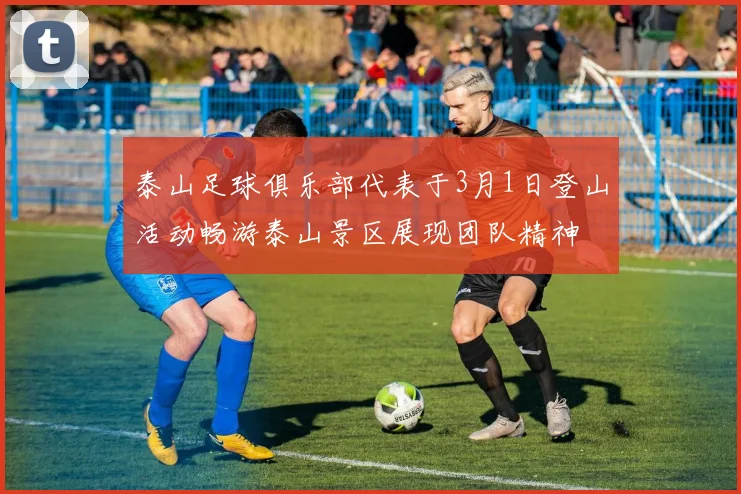 泰山足球俱乐部代表于3月1日登山活动畅游泰山景区展现团队精神