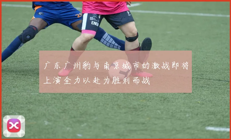 广东广州豹与南京城市的激战即将上演全力以赴为胜利而战